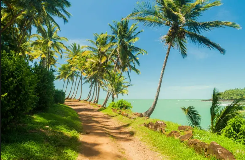 Guyane
